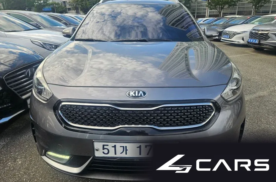 Kia Niro Luxury — основное фото