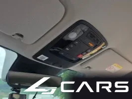 Kia Carnival HEV 7seater Signature — фото 18 (exterior)